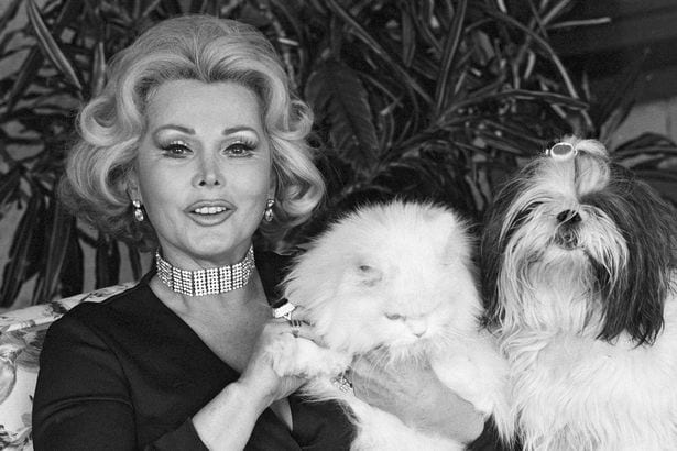 Actress Zsa Zsa Gabor  - Famous Personalities  Shih Tzu