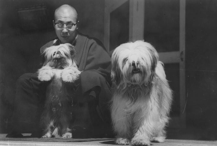 Dalai Lama - Famous Personalities  Shih Tzu