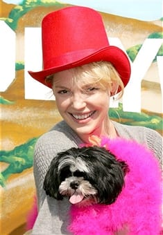 Katherine Heigl - Famous Personalities Shih Tzu