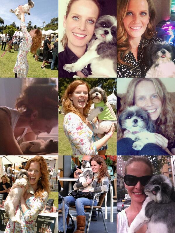 Rebecca Mader  - Famous Personalities Shih Tzu