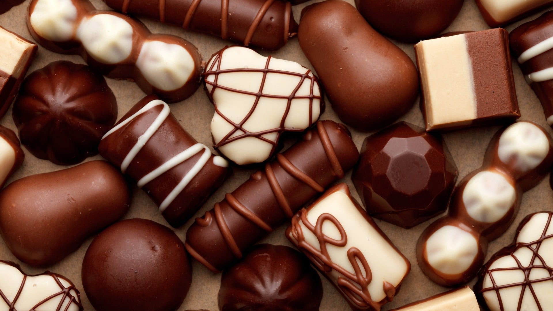 Shih Tzu Foods That Are Dangerous - Chocolate