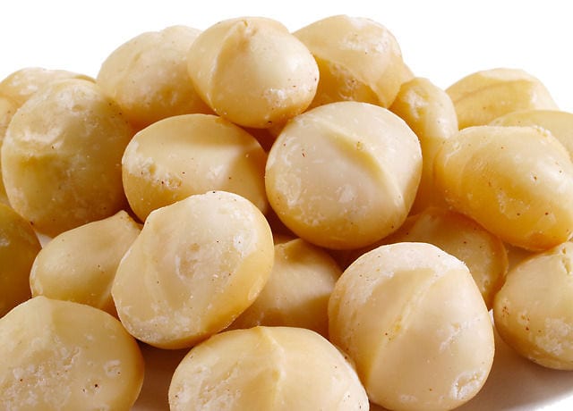 Foods Dangerous For Your Shih Tzu - Macadamia Nuts