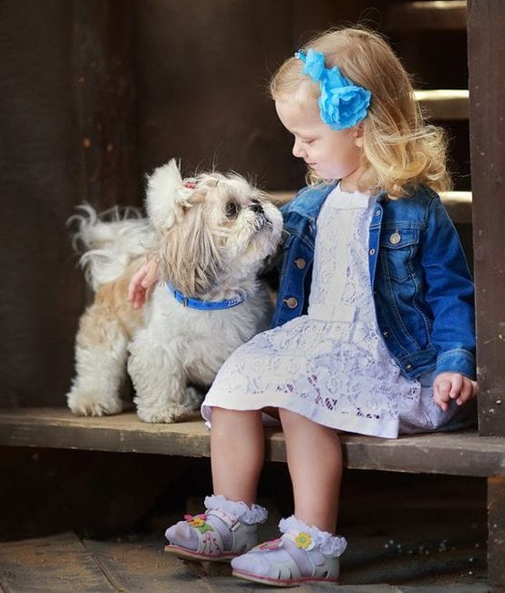 friendly - Facts about your loving Shih Tzu!