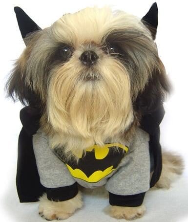 Movie Inspired Shih Tzu costumes