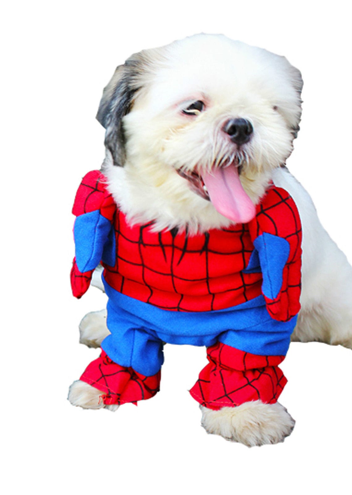 Movie Inspired Shih Tzu costumes - spiderman