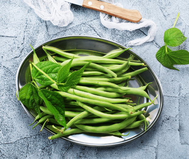 Green Beans - safe for Shih Tzus