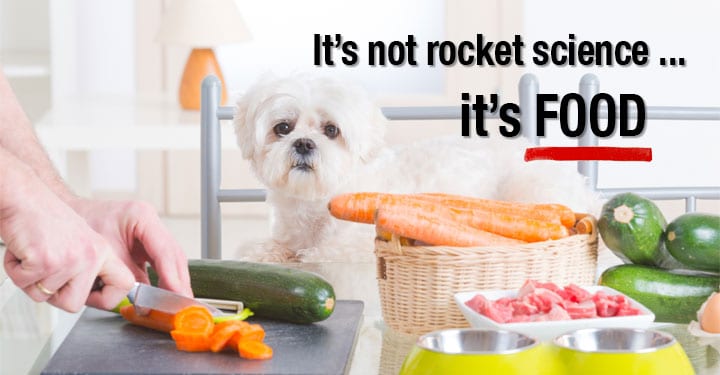 are carrots good for a shih tzu