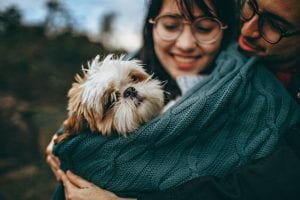 Corona Virus and Dogs