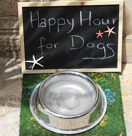 Dog Food Happy Hour
