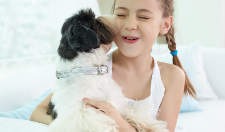 How Do You Train a Stubborn Shih Tzu Dog? 6 Ways to Success