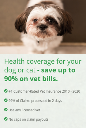 Dog Health insurance