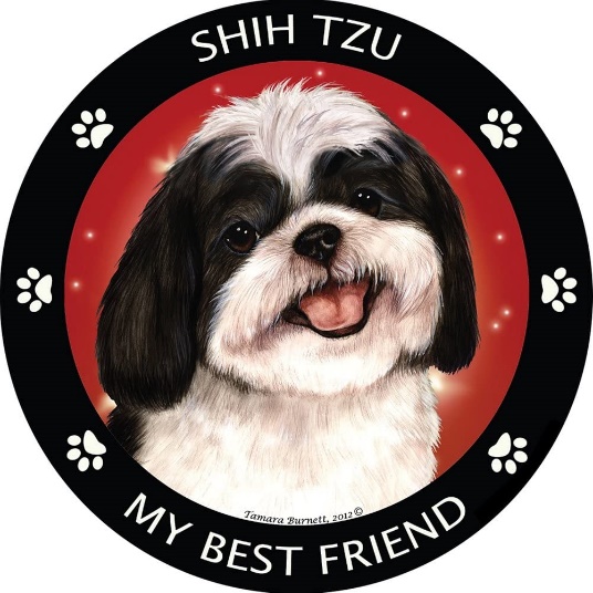 Shih Tzu Car Magnet